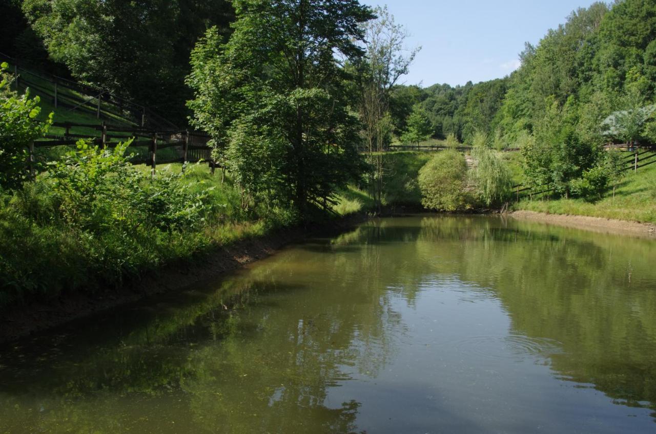 Skalka * Ceska Metuje